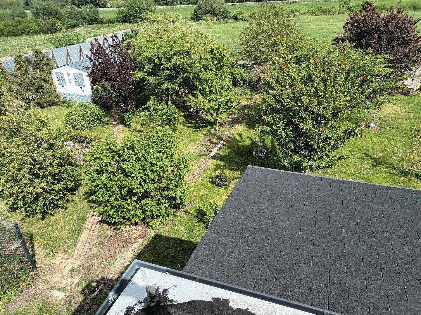 Vogelperspektive auf einen weitläufigen Garten mit vielen Bäumen, einem Gartenhaus und angrenzenden Feldern.