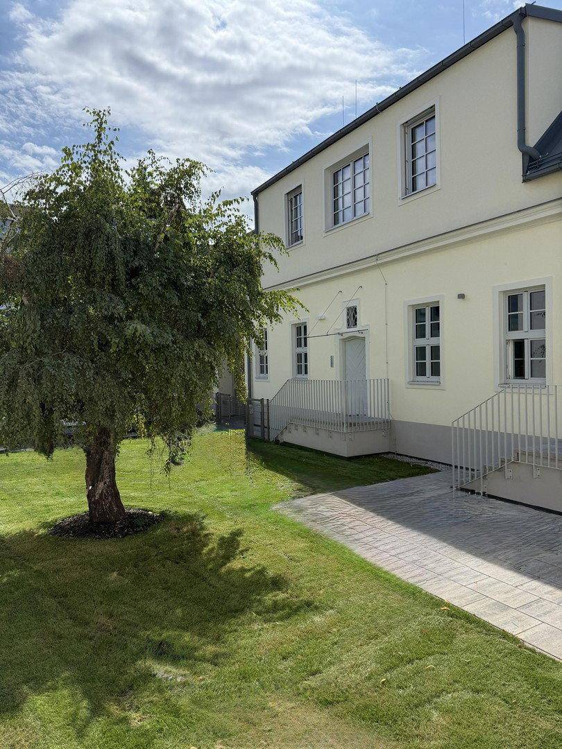 Grüne Gartenanlage mit Rasenfläche und Baum vor der Gebäudefassade an einem sonnigen Tag.