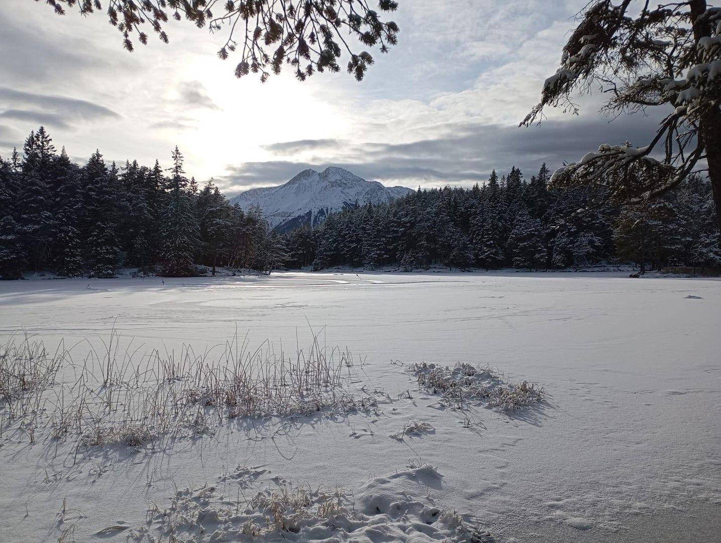 Der See im Winter