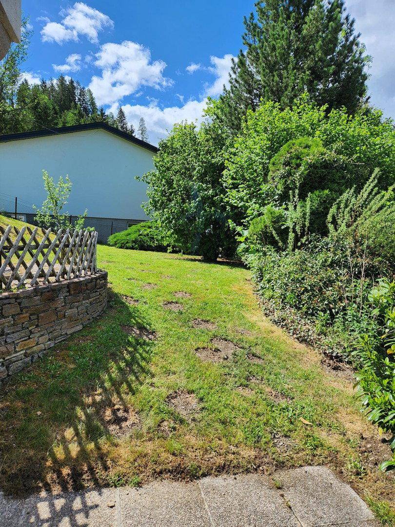 Grasfläche mit einer Steinmauer und Holzzaun, die zum Haus führt, umgeben von viel Grün.