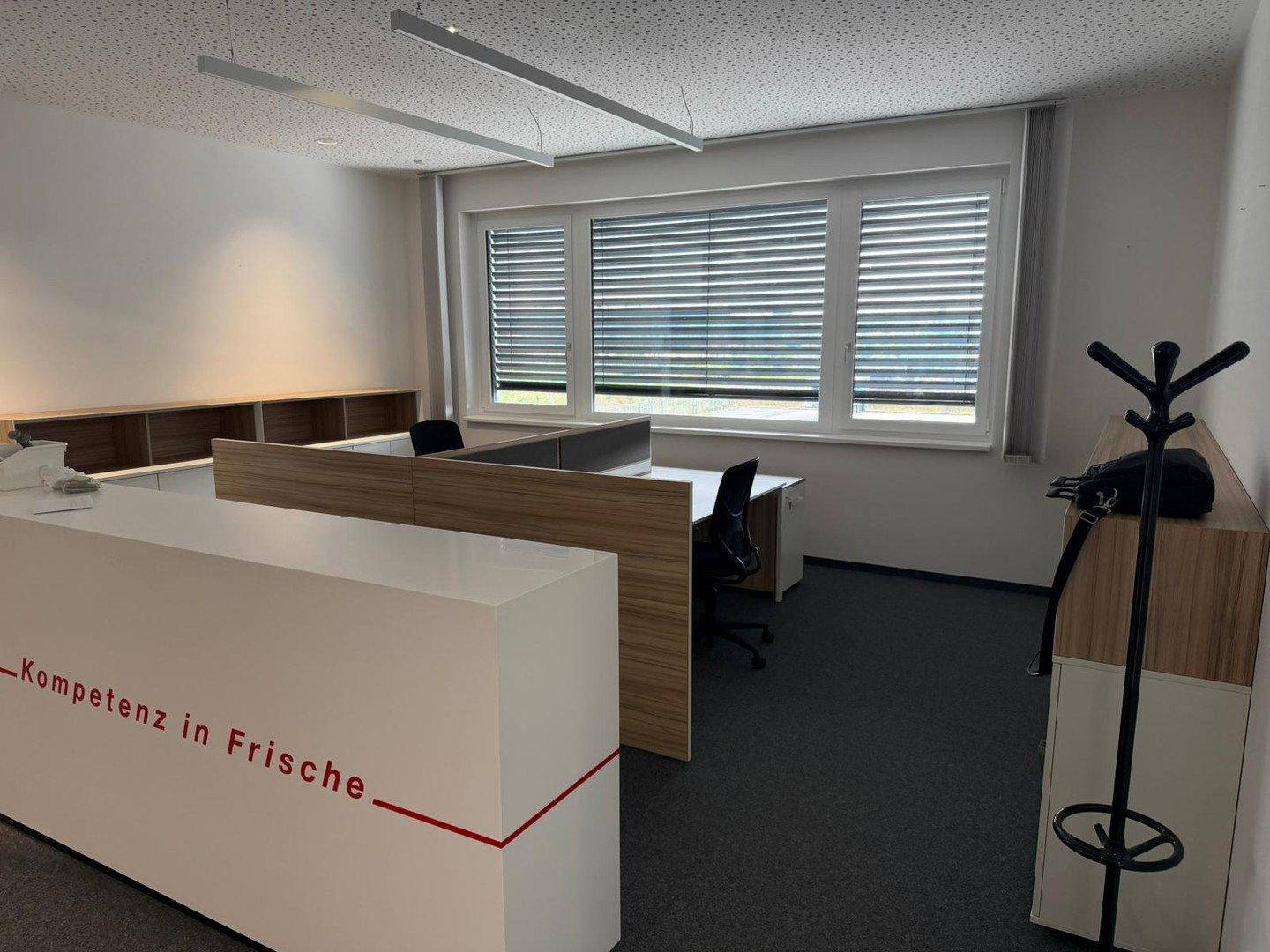 Modernes Büro mit mehreren Arbeitsplätzen, Teppichboden und Jalousien an den Fenstern.