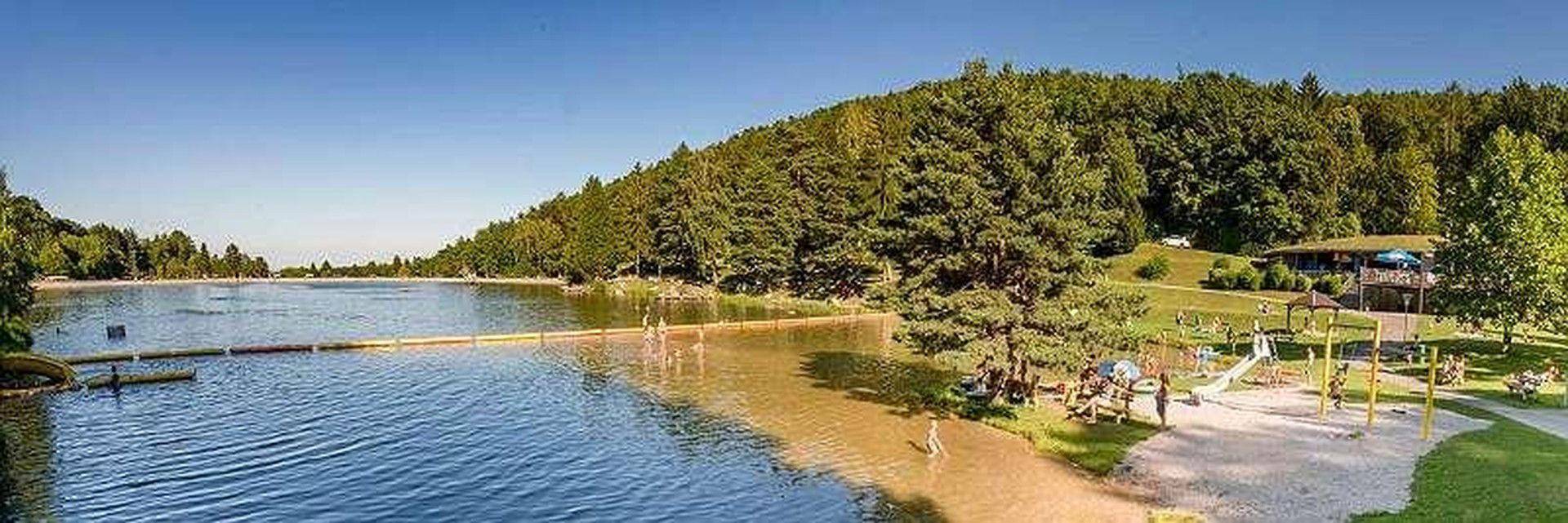 In glasklarem Wasser schwimmen