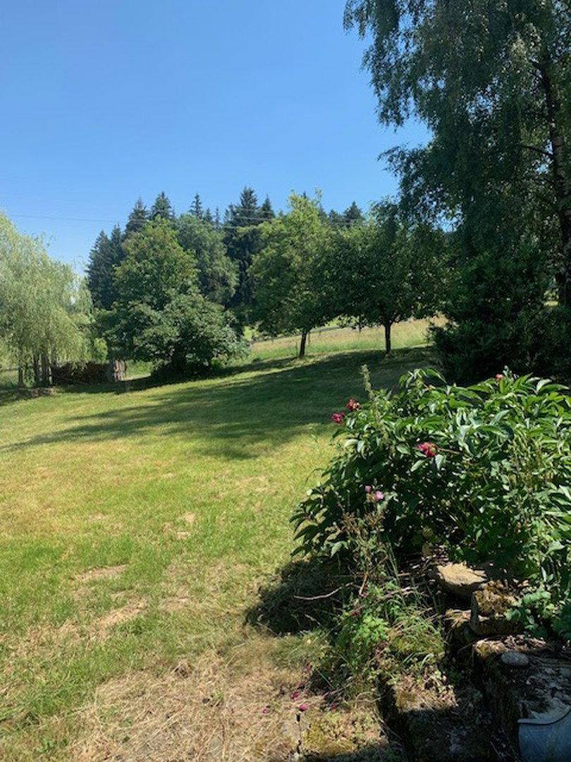 Sonniger, weitläufiger Garten mit großen Rasenflächen und altem Baumbestand in ländlicher Umgebung.