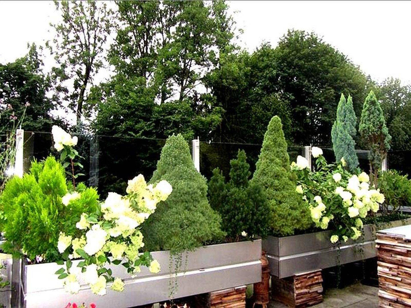 Attraktive Bepflanzung in modernen Pflanzkübeln auf der Terrasse.