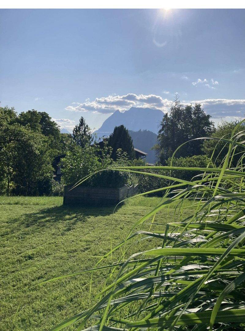 Sonnige Rasenfläche mit hohen Gräsern im Vordergrund und Bergsilhouette am Horizont.