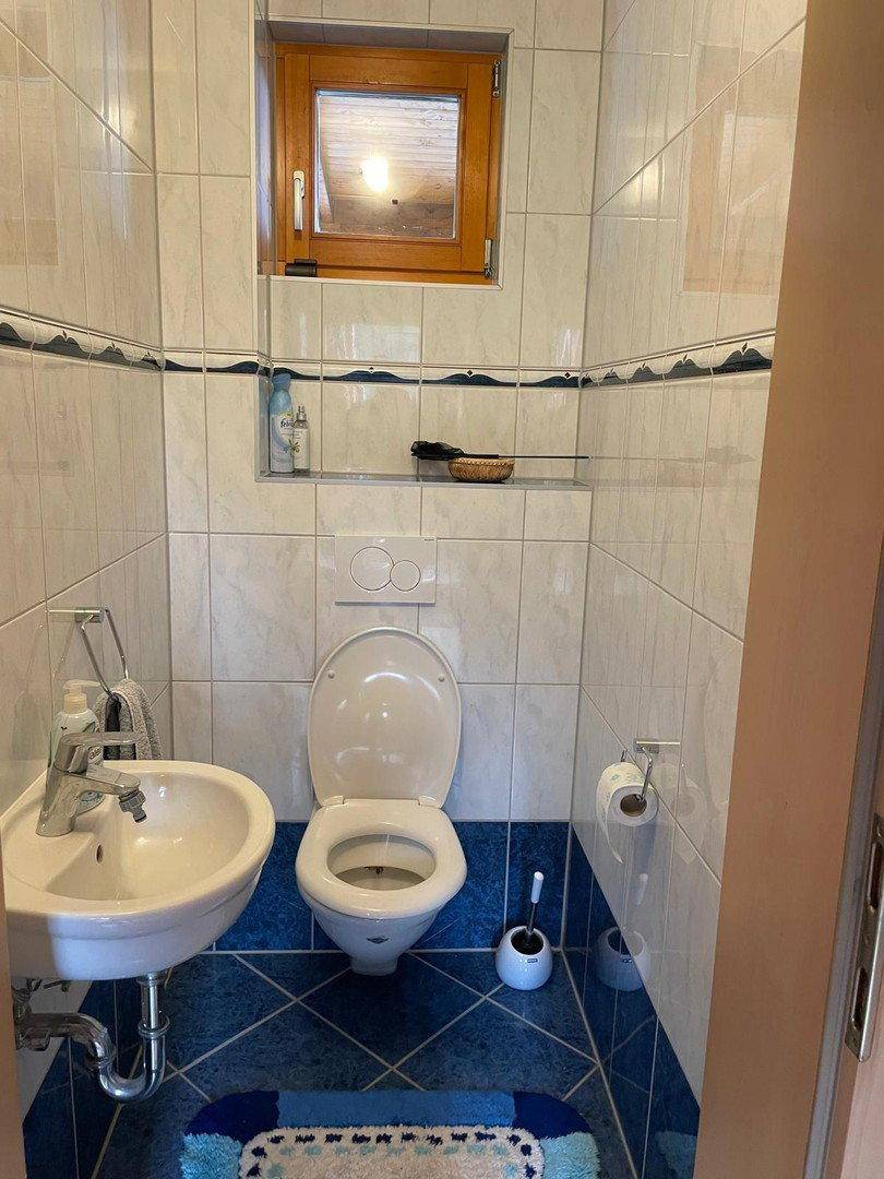 Kleines Gäste-WC mit blauen und weißen Fliesen, Wand-WC und kleinem Waschbecken.