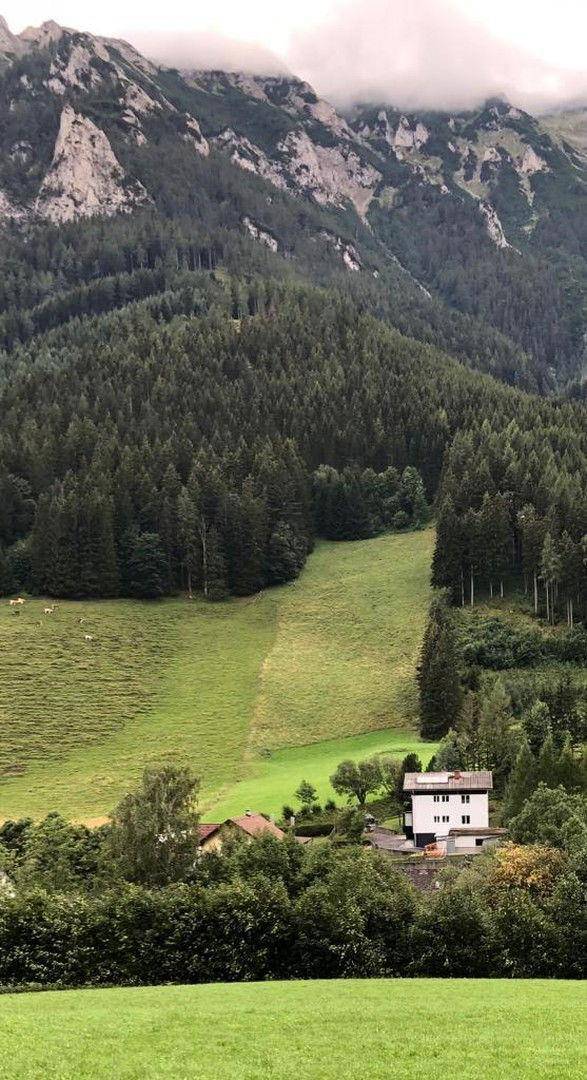 Ausblick