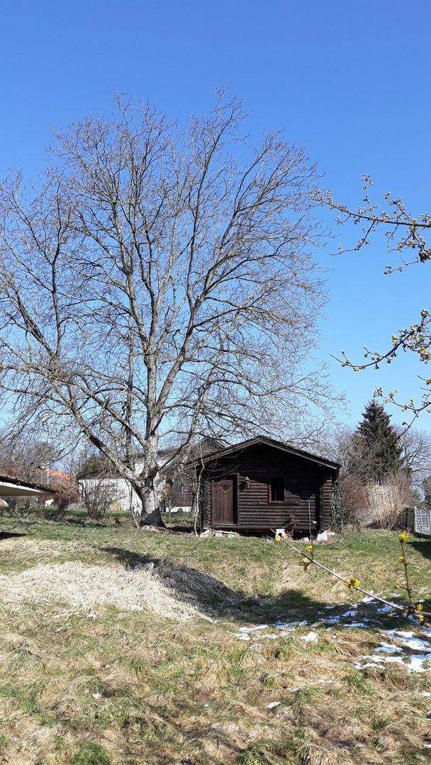 Hütte aus Holz vorhanden