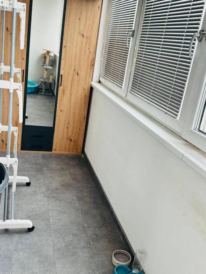 Innenraum mit Fenster und Jalousien, daneben ein Schrank und ein Katzenbaum.