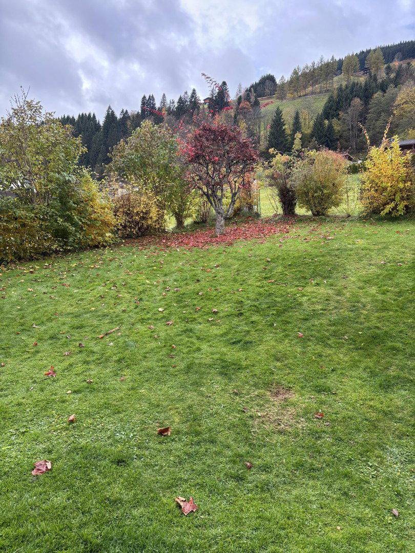 Großer grüner Rasen mit verstreuten Herbstblättern und Bäumen in herbstlichen Farben im Hintergrund.