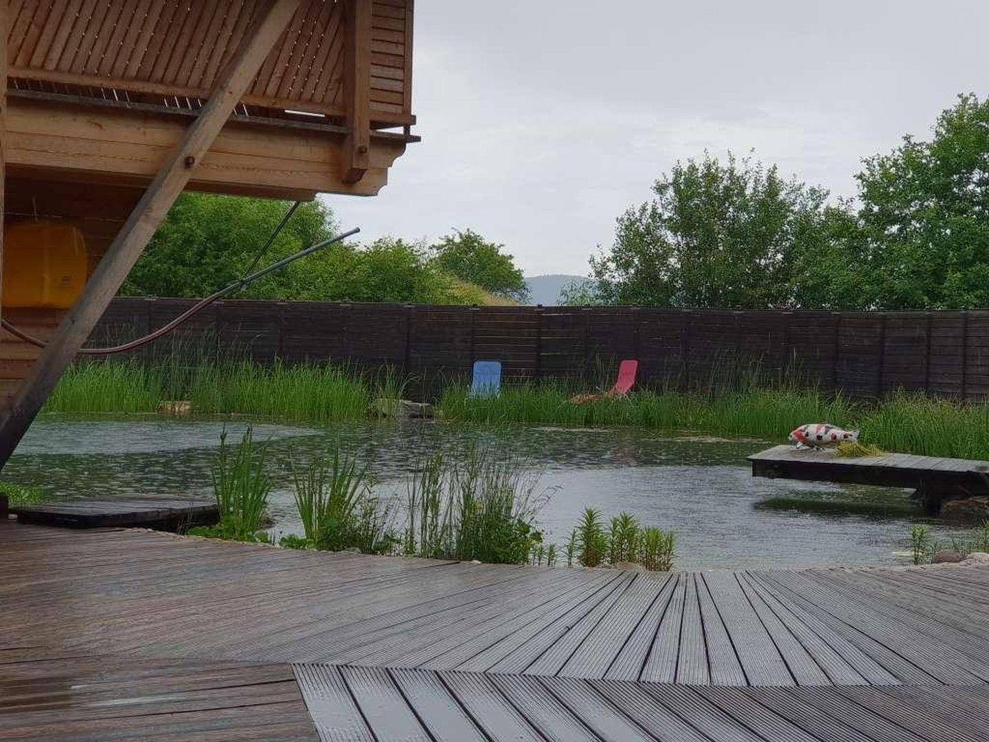 Natur(schwimm)teich
