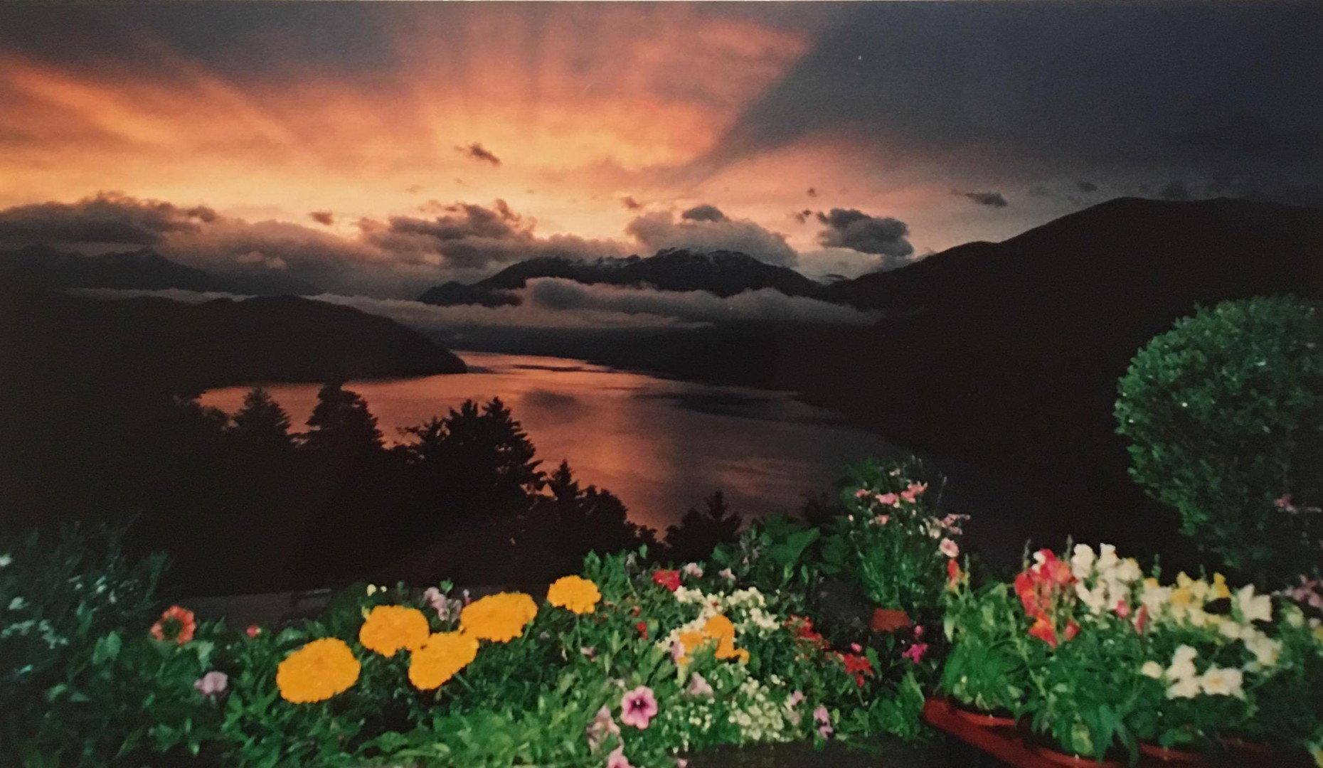 Dramatischer Sonnenuntergang über einem See und Bergen, umrahmt von bunten Blumen im Vordergrund.
