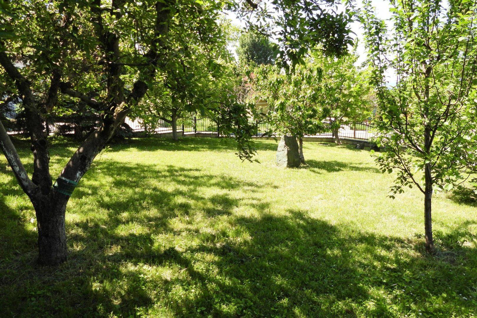schattiger Garten