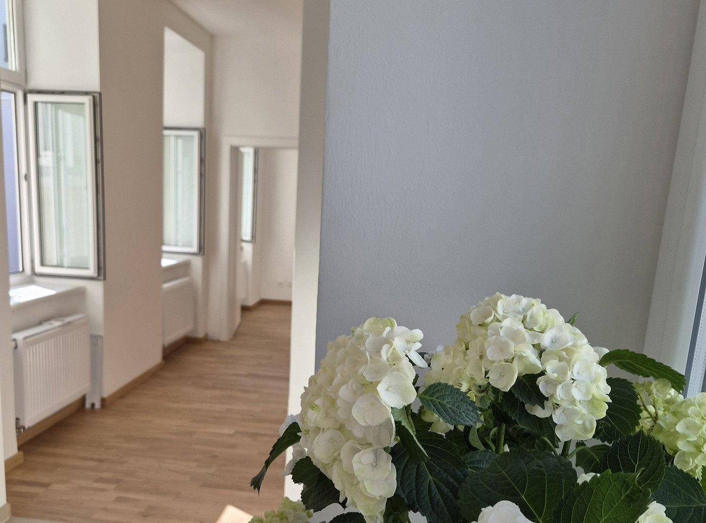 Heller Flur mit Holzboden und Blick in weitere Räume, dekoriert mit einer weißen Hortensie.