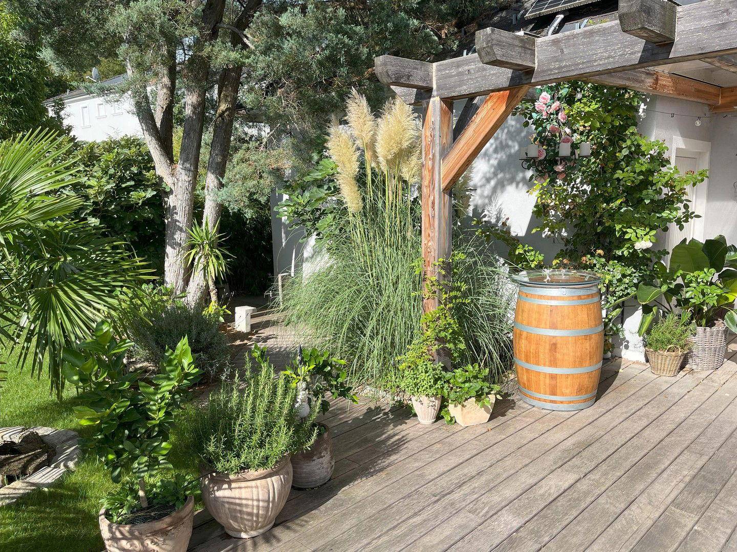 Garten 3