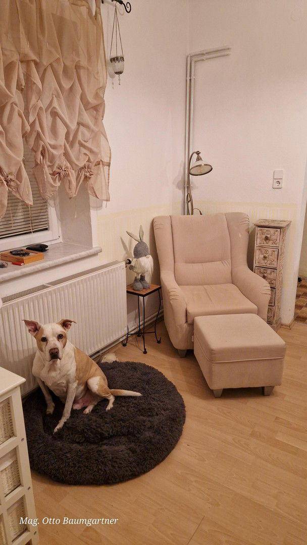 Durchgangszimmer m. Kamin