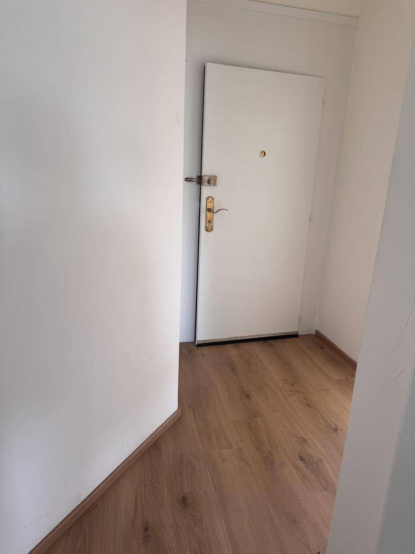 Heller Eingangsbereich mit Holzboden und einer weißen Eingangstür.