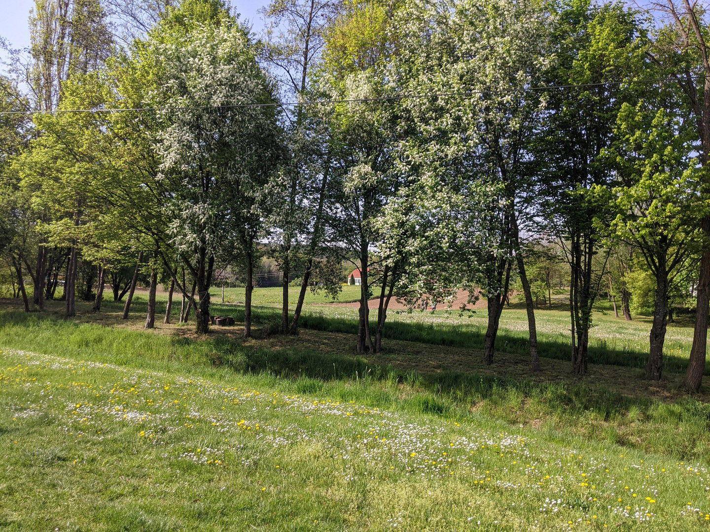 Blick von der Straße