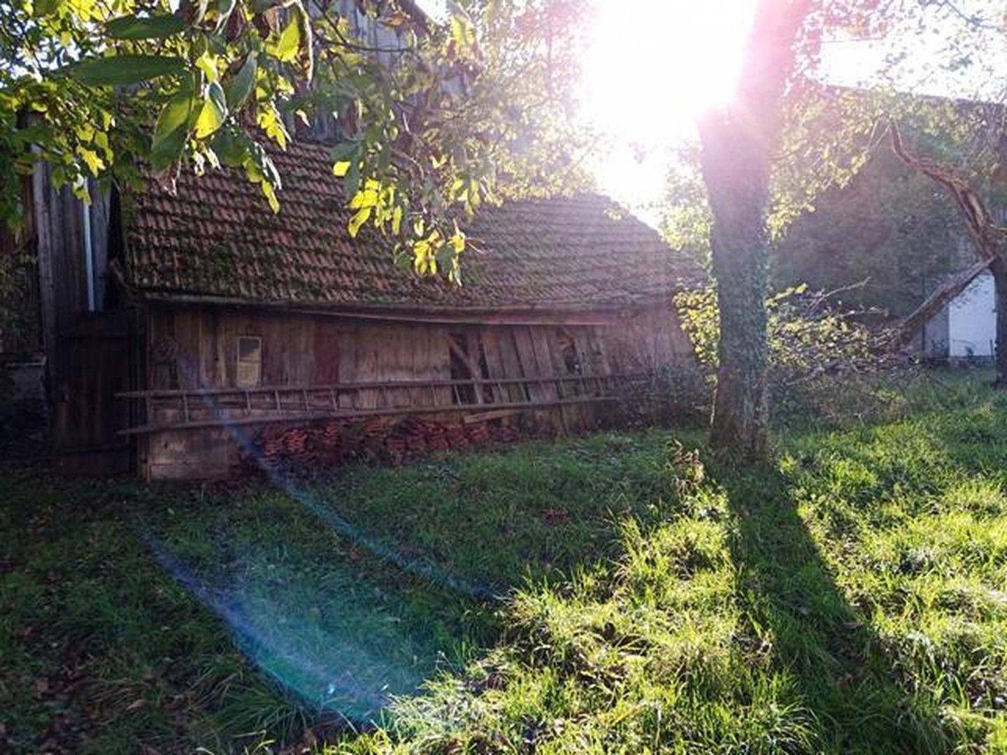 Garten