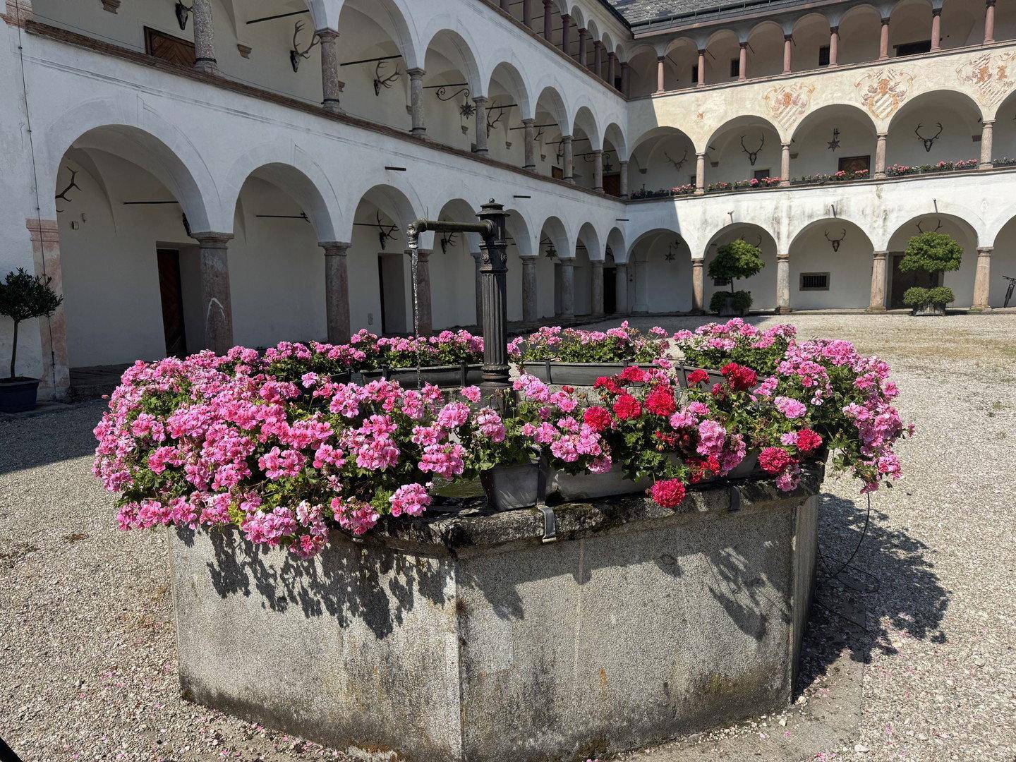 Historischer Brunnen im Innenhof, reichlich mit leuchtend rosa Blumen bepflanzt.