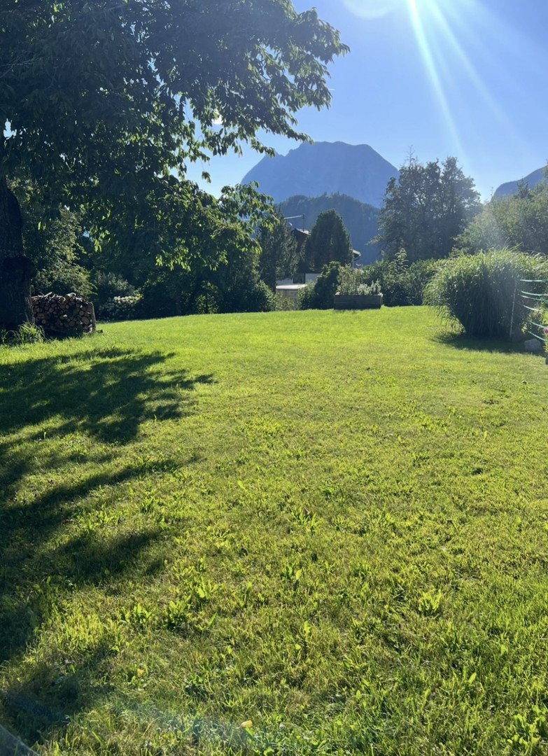 Weitläufige Rasenfläche im Garten mit Bäumen und Bergblick unter blauem Himmel.