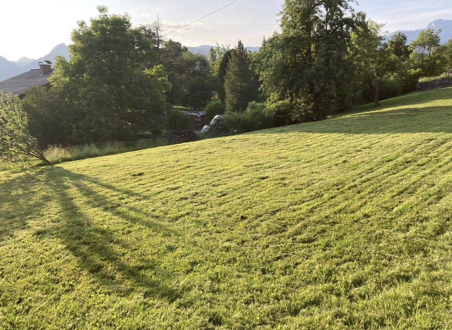 Abfallende Rasenfläche im Garten mit Schattenwurf und Bäumen im Hintergrund.