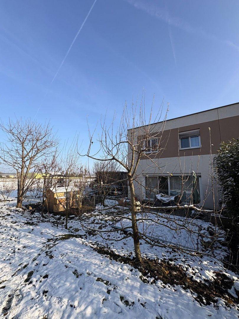 Hinteransicht des Hauses mit verschneitem Garten und kahlen Bäumen unter blauem Himmel.