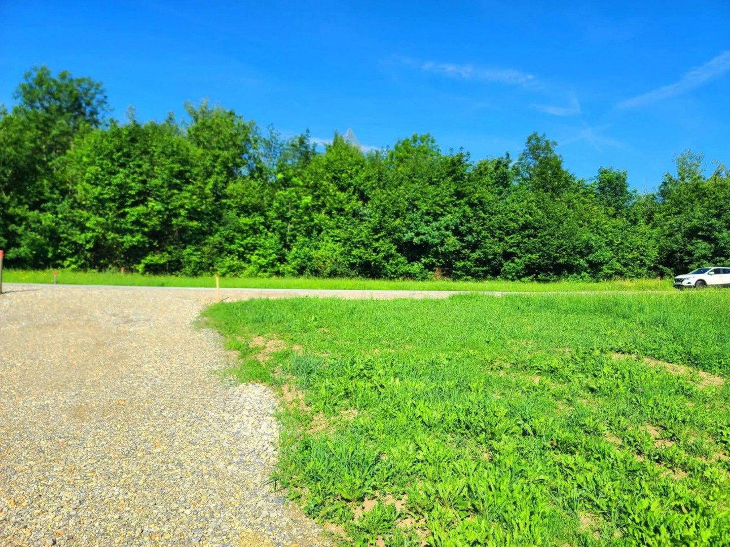 Grüne Wiese neben einem Schotterweg, begrenzt von Bäumen und einem geparkten Auto.