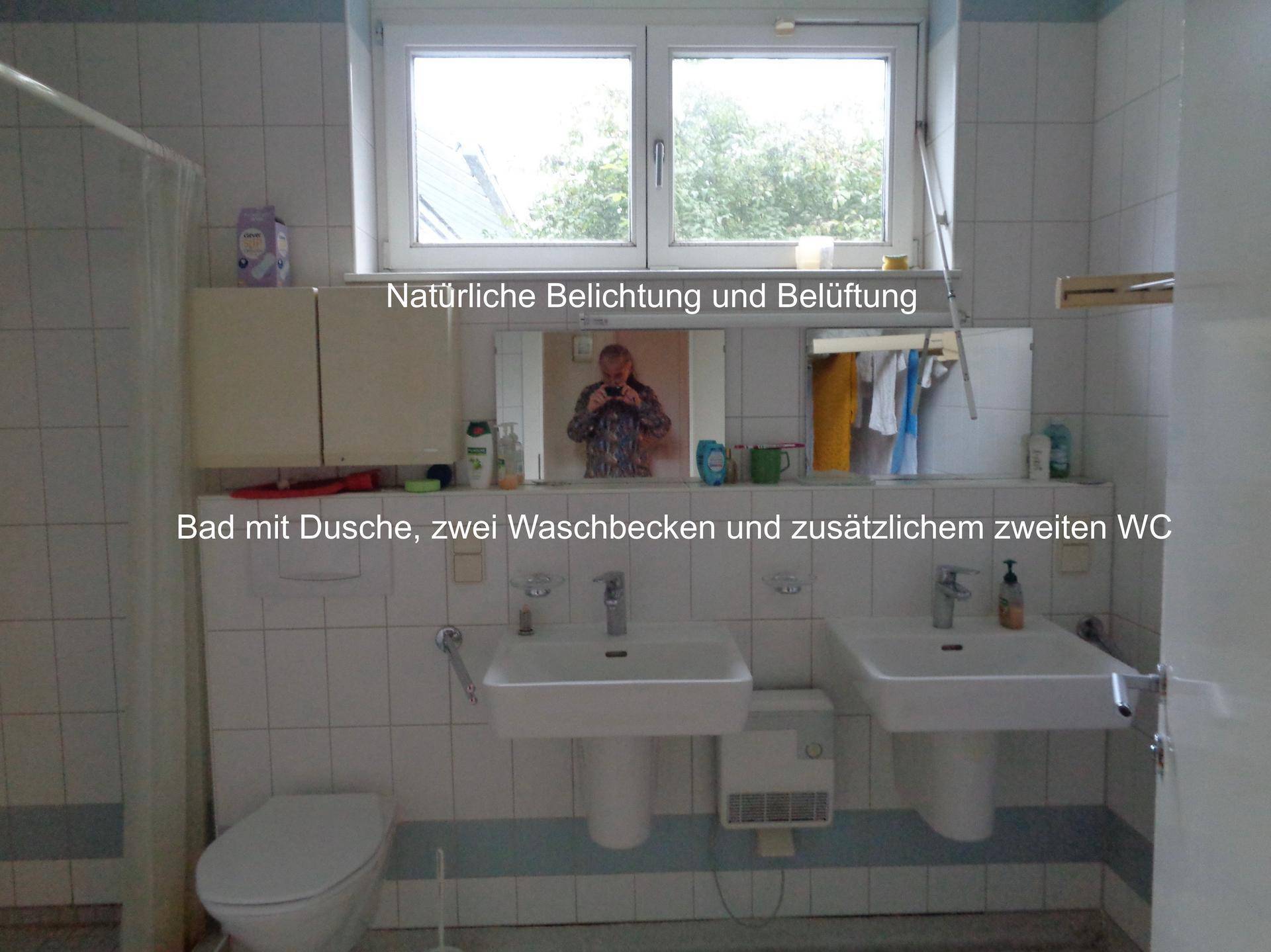 Slide 12