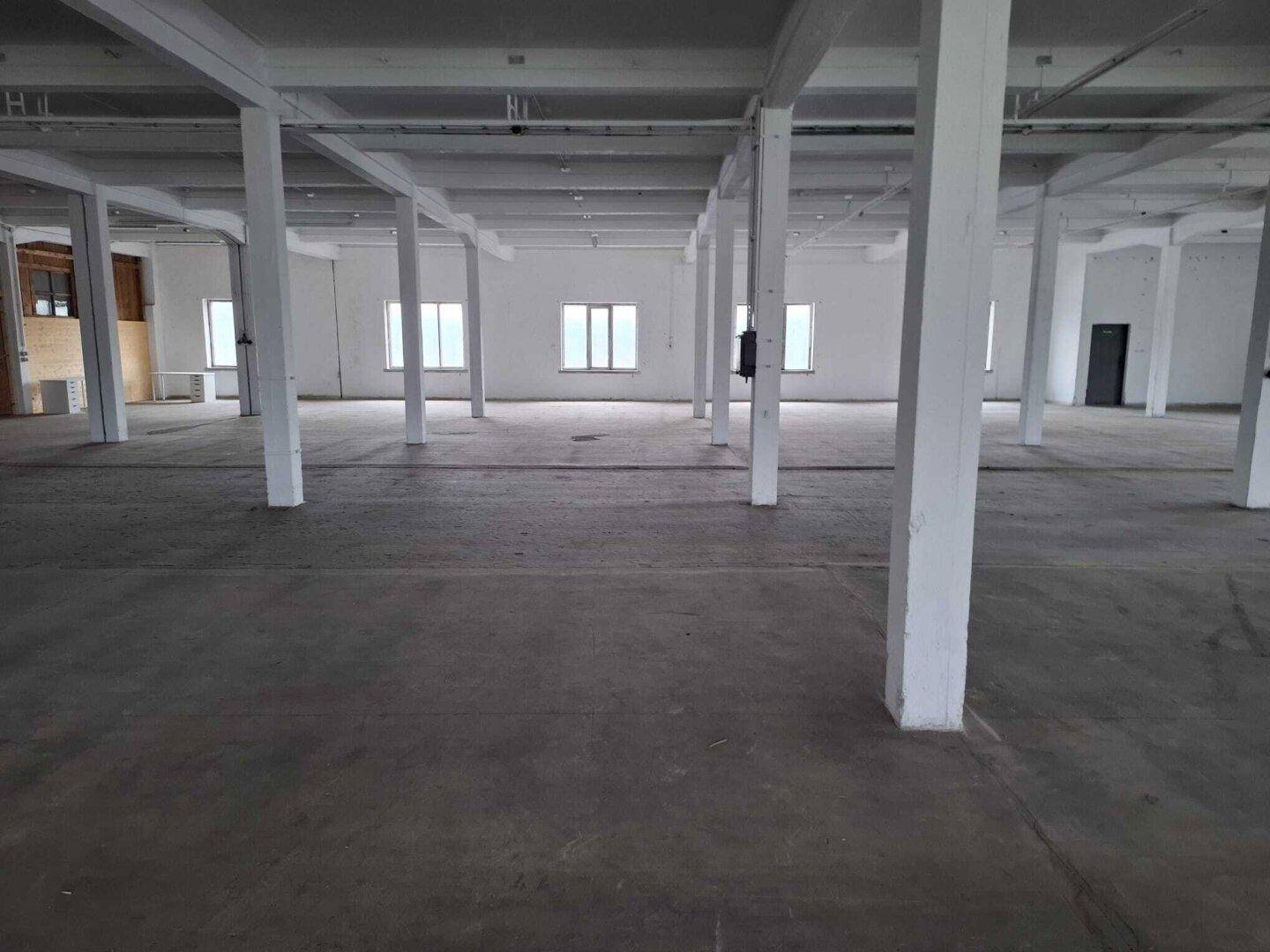 Große, offene Lagerhalle mit vielen weißen Säulen, Betonboden und mehreren Fenstern.