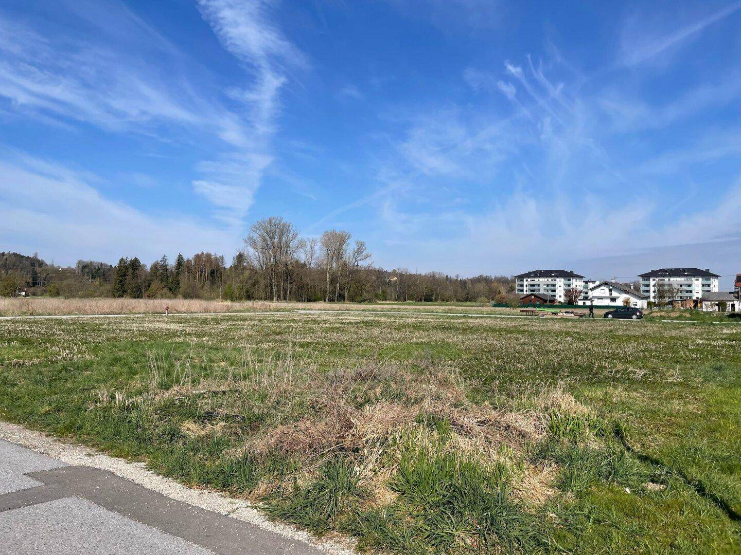 Weite Grünfläche mit Bäumen im Hintergrund und modernen Wohngebäuden am Horizont.