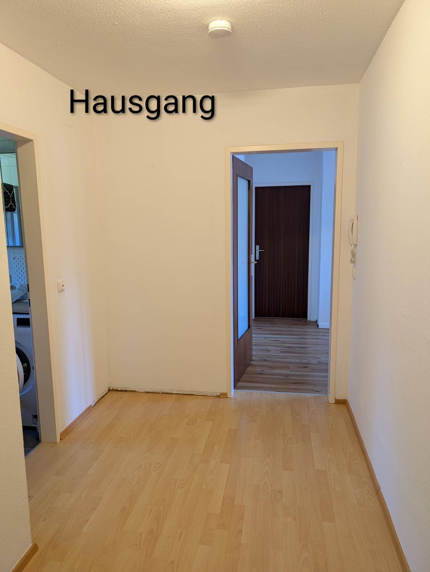 Geräumiger Hausgang mit hellem Laminatboden, der zu weiteren Räumen führt und viel Platz bietet.