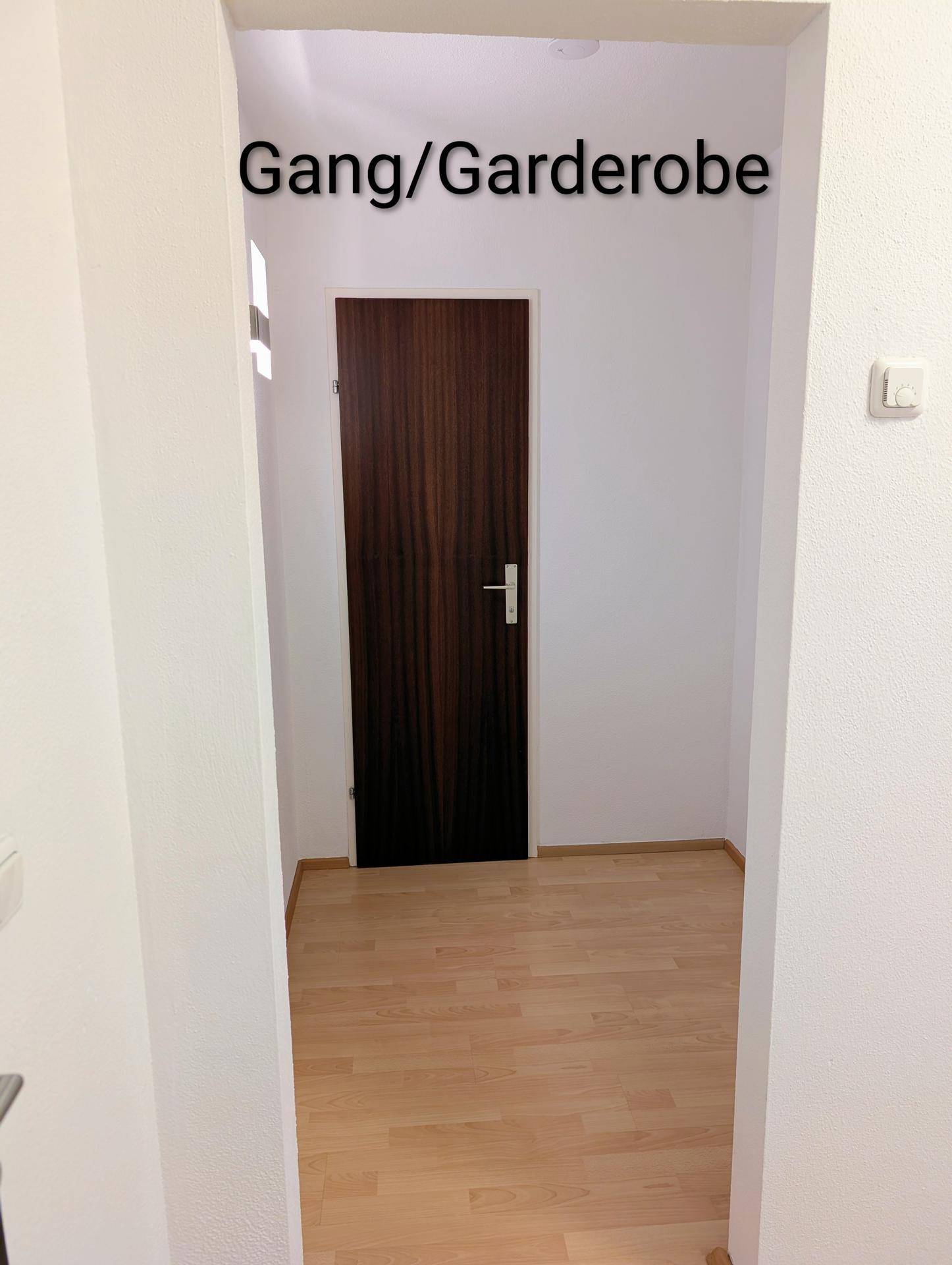 Eingangsbereich oder Garderobe mit Laminatboden und einer dunklen Holztür, praktisch und funktional.