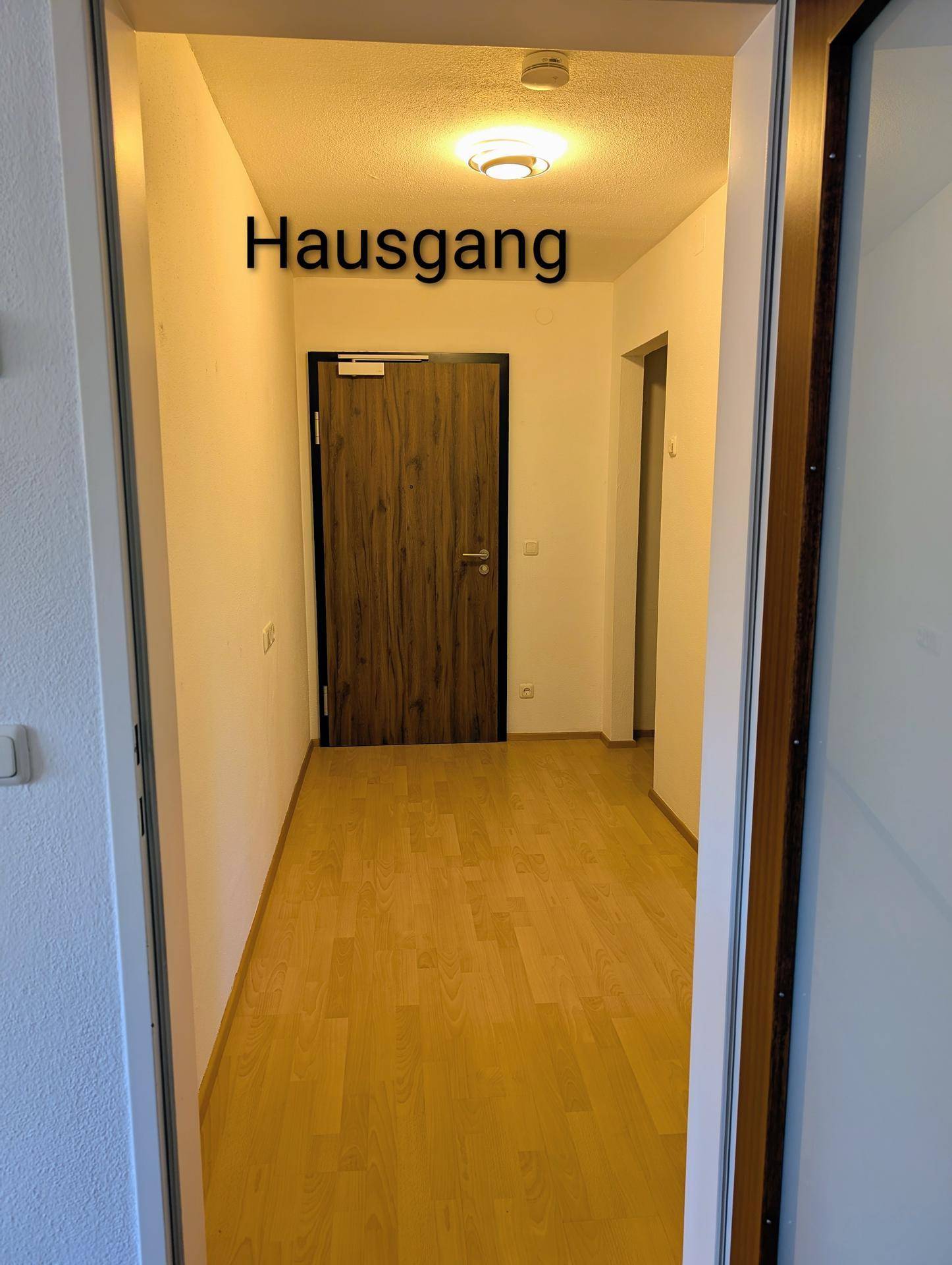 Heller Hausgang mit Laminatboden und einer modernen Eingangstür aus dunklem Holz, einladend gestaltet.