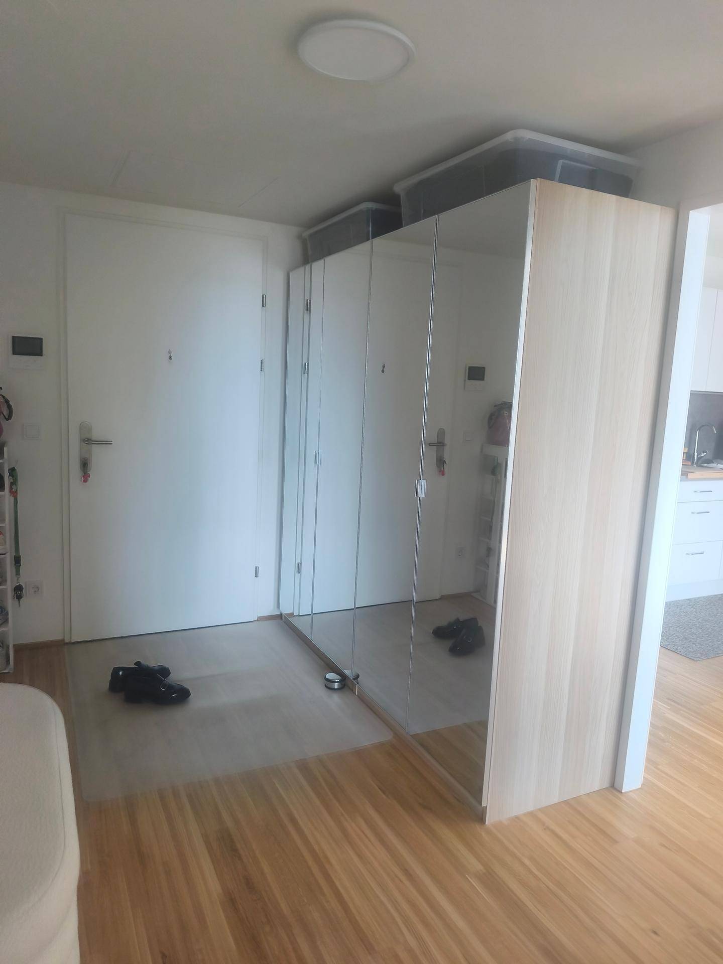 Eingangsbereich mit Spiegelschrank und Holzboden, der zum offenen Wohnbereich führt.