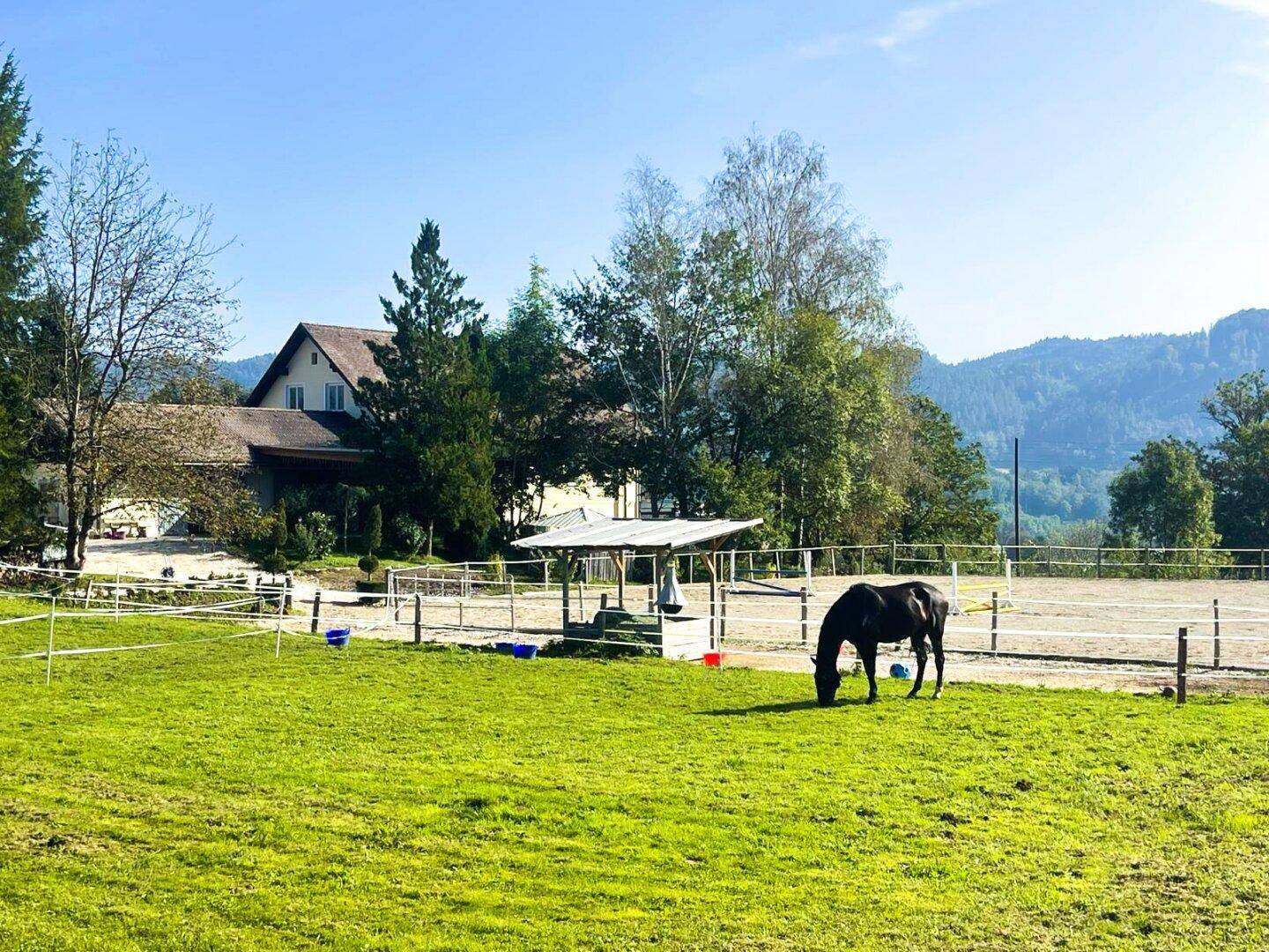 Koppeln mit Quellen und Reitplatz