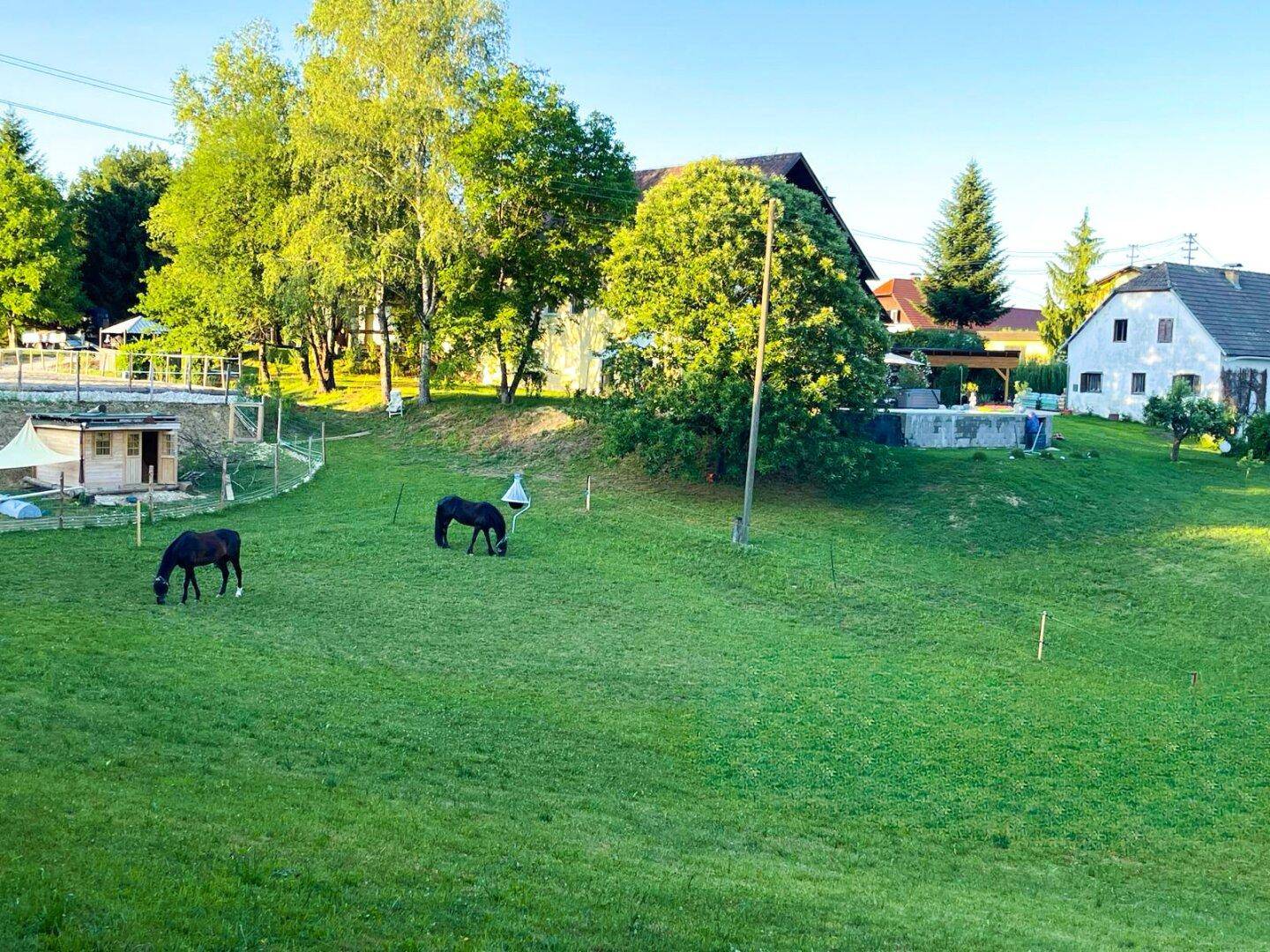 Koppeln mit Quellen und Reitplatz
