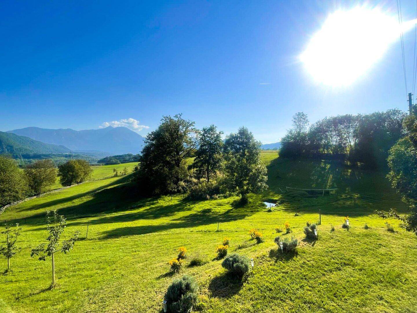 Koppeln mit Quellen und Reitplatz