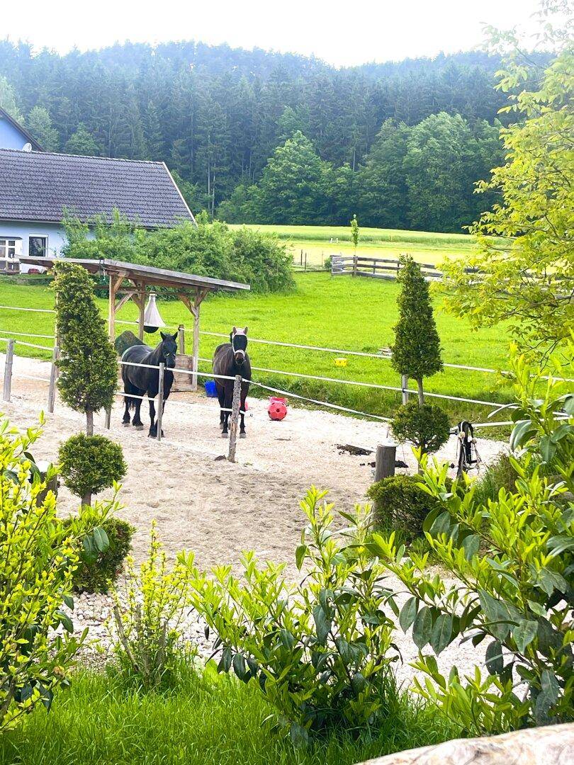 Koppeln mit Quellen und Reitplatz
