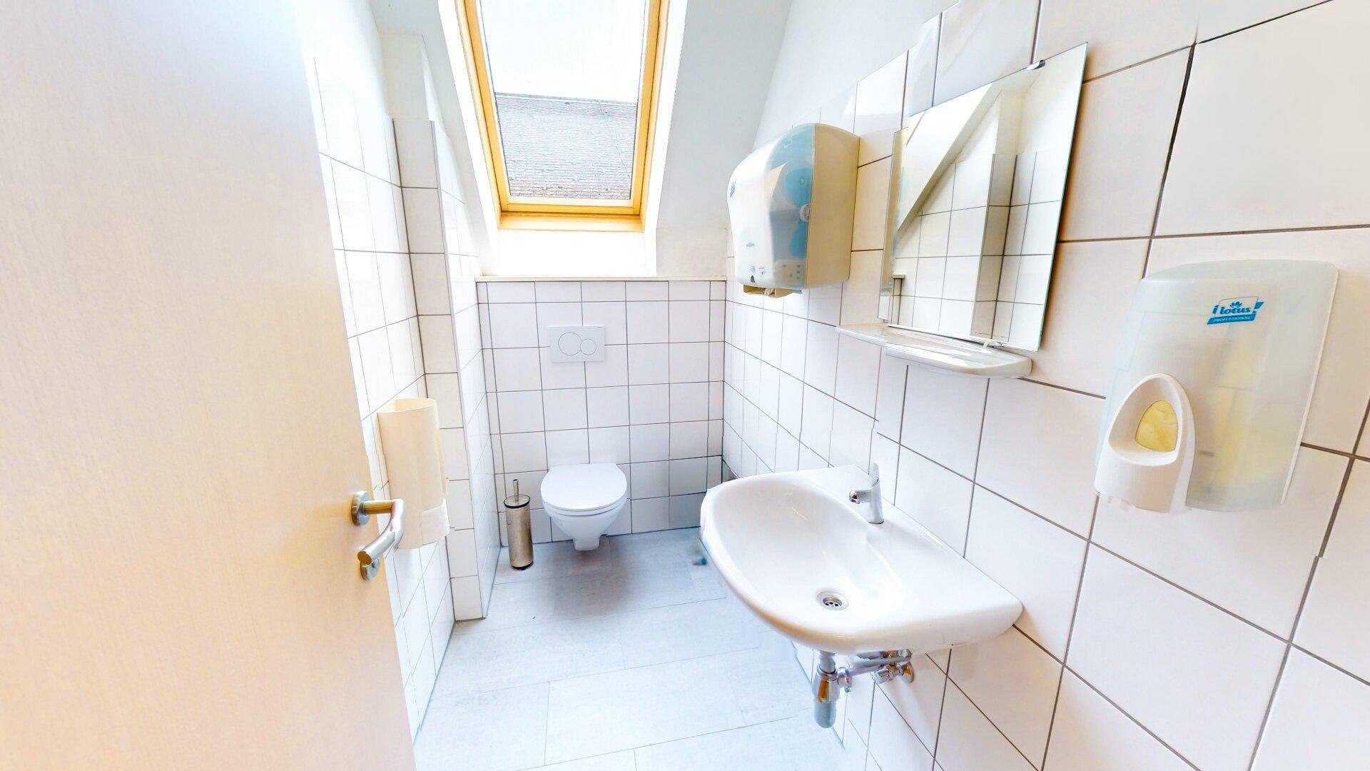 Kleiner WC-Raum mit weißen Fliesen, Waschbecken und Dachfenster für natürliches Licht.