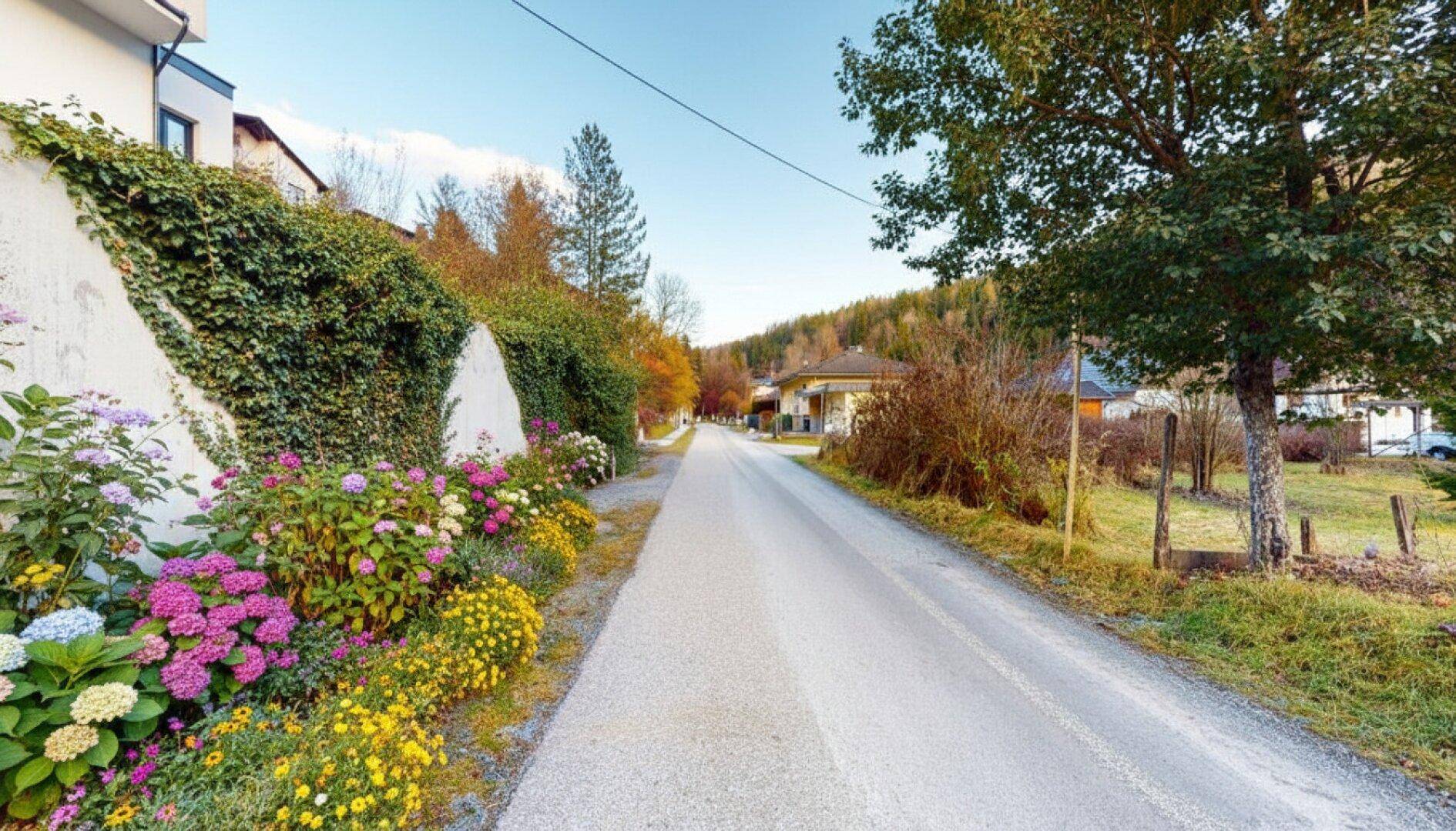 Ruhige Wohnstraße mit üppiger Bepflanzung und bunten Blumen am Straßenrand.