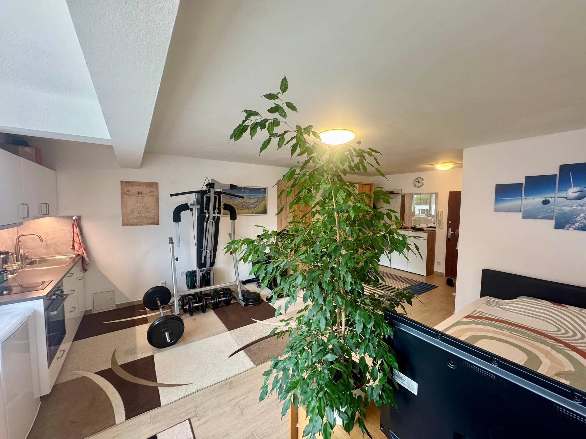 Offener Wohnbereich mit integrierter Küchenzeile, Fitnessgeräten und Pflanzen für gemütliches Ambiente.