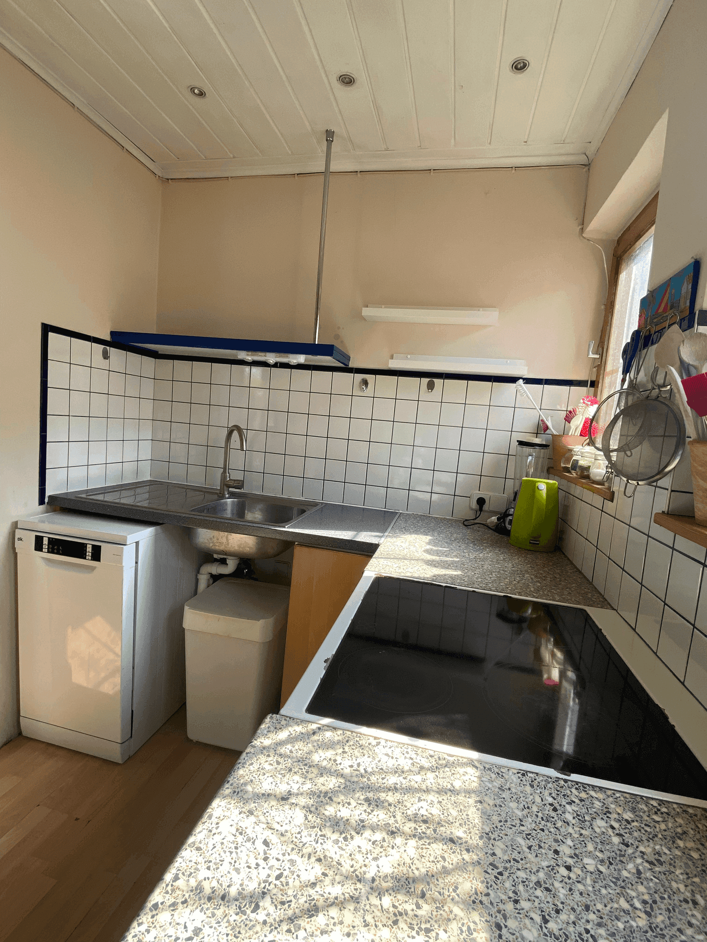 Praktische Küche mit Spülbecken, Induktionskochfeld und Geschirrspüler, gut beleuchtet.