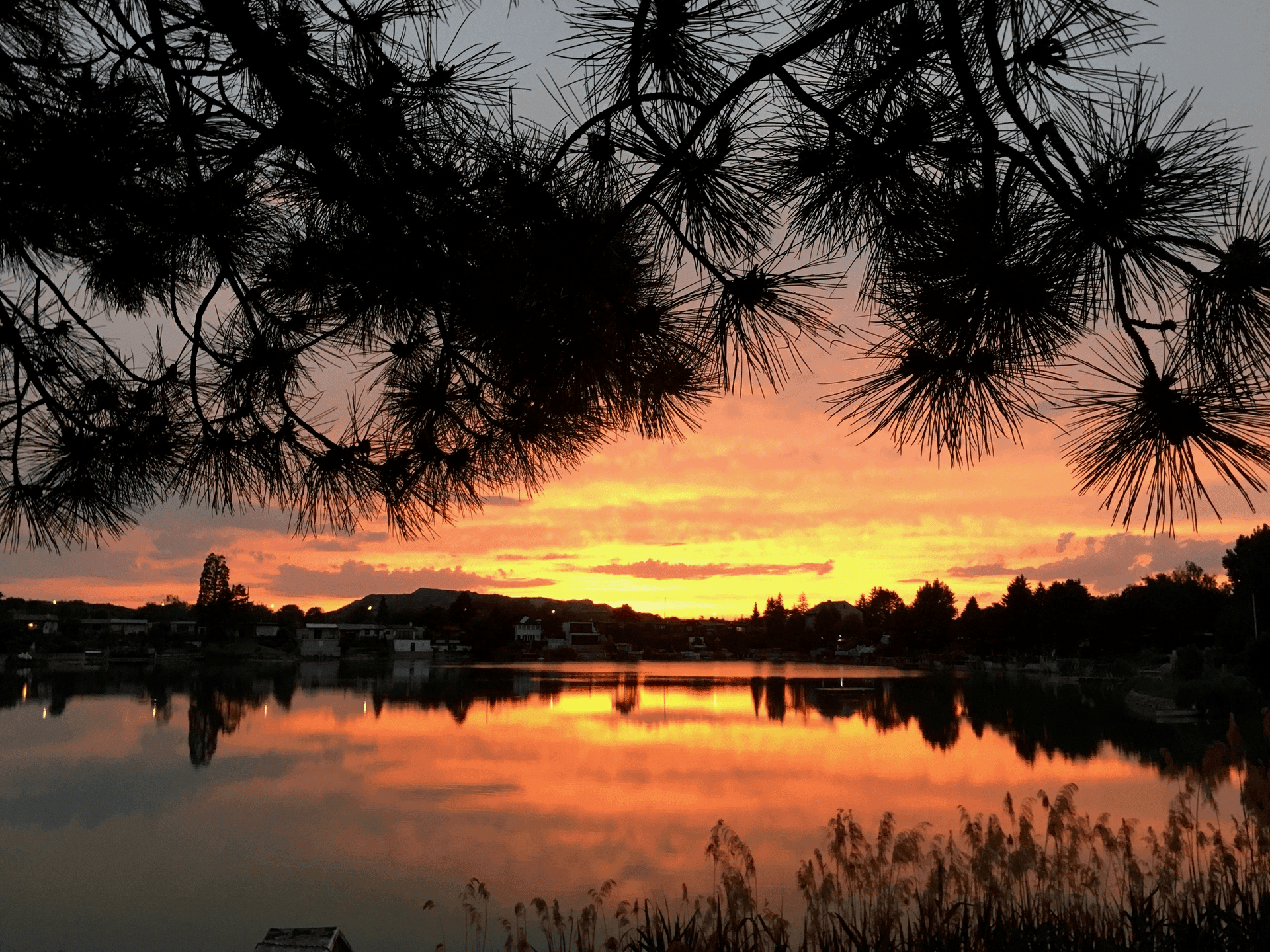 Spektakulärer Sonnenuntergang über dem See mit leuchtenden Farben am Horizont und Spiegelungen im Wasser.