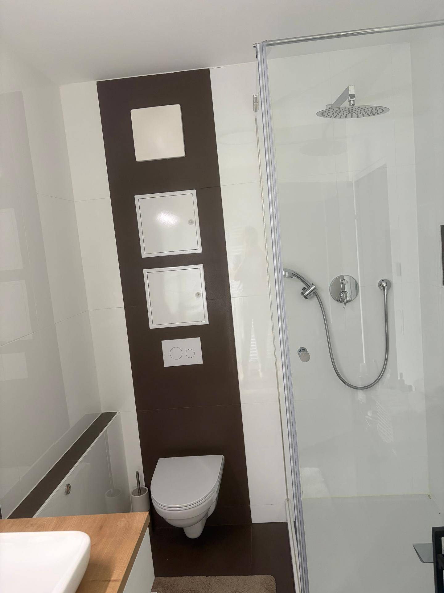 Modernes Badezimmer mit begehbarer Dusche, Wand-WC und dunklen Akzentfliesen.