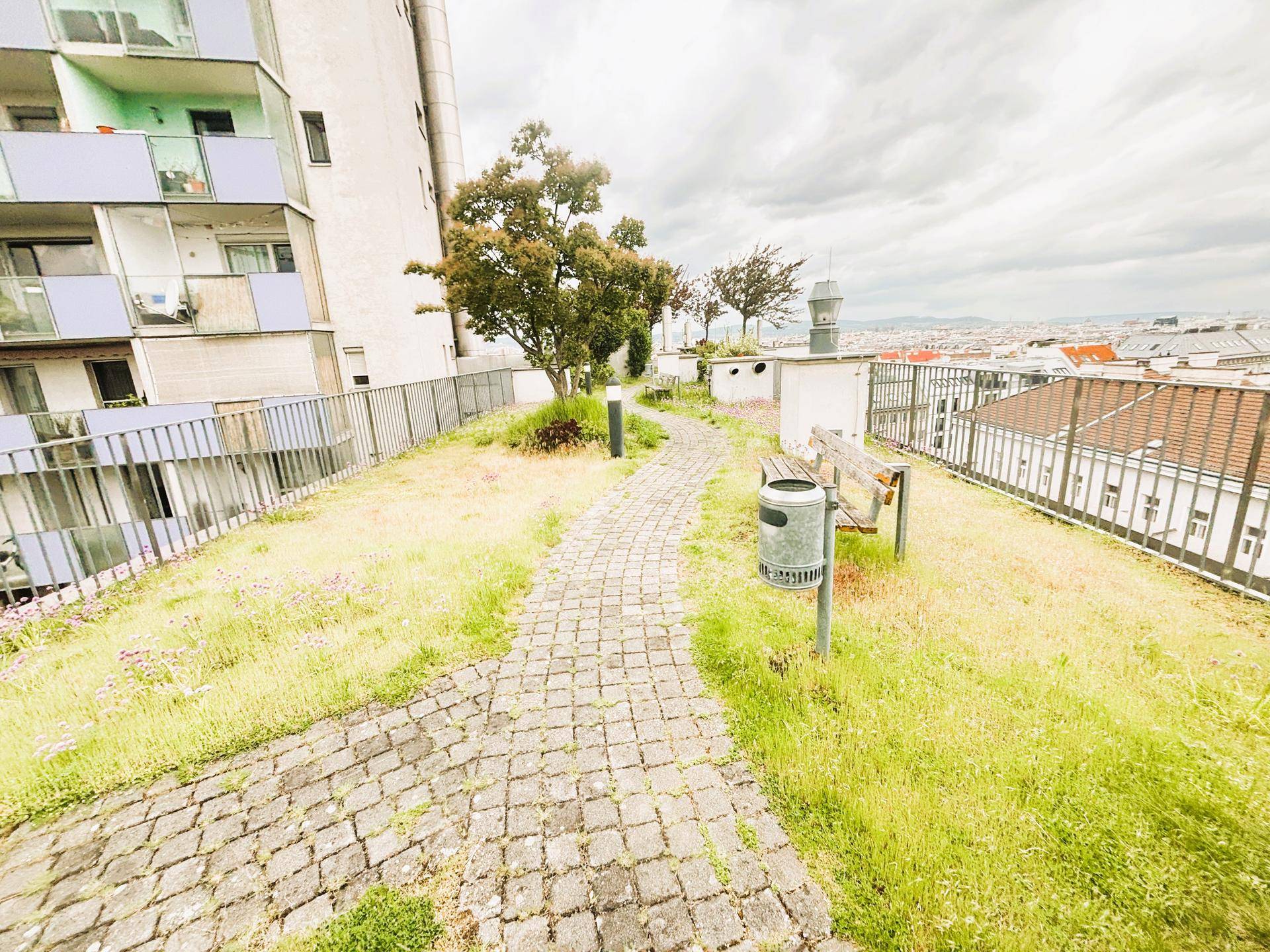 Begrünter Dachgarten mit gepflastertem Weg, Sitzbank und Blick über die Stadtlandschaft.