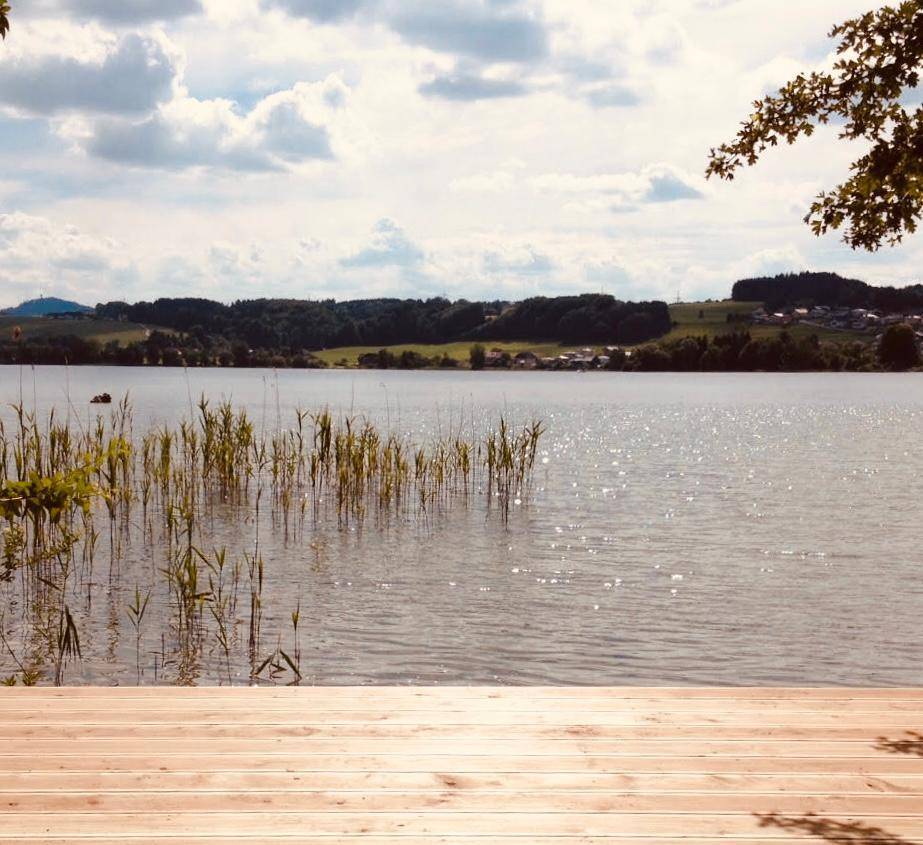 Holzsteg am Seeufer mit Schilf und einer weiten Aussicht auf die umliegende Landschaft.