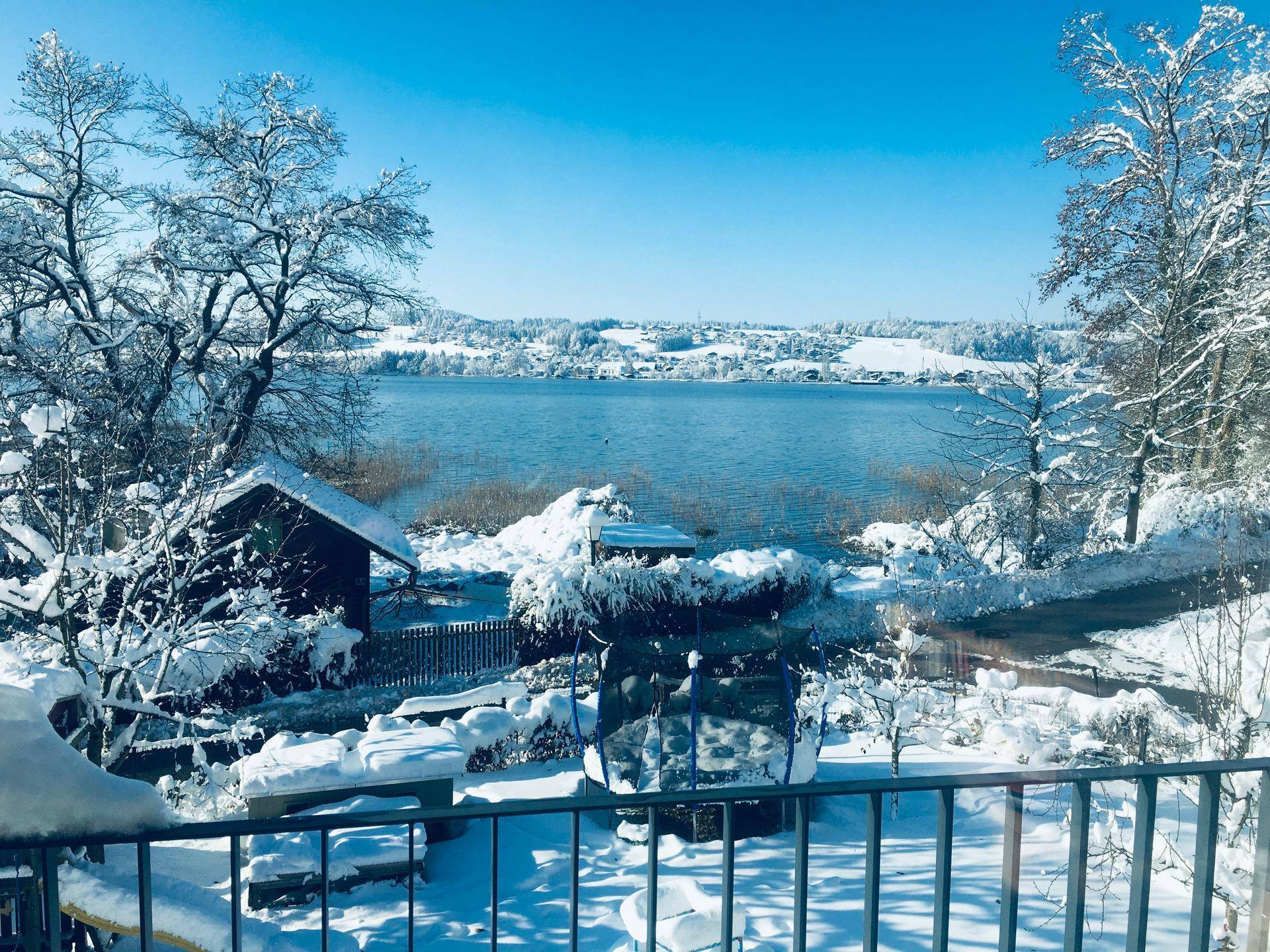 Winterlandschaft mit schneebedeckten Bäumen und einem zugefrorenen See unter klarem blauem Himmel.