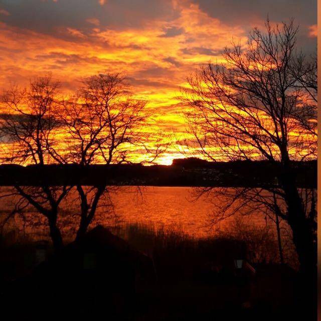 Spektakulärer Sonnenuntergang über dem See mit leuchtend orangefarbenem Himmel und dunklen Baumkonturen.