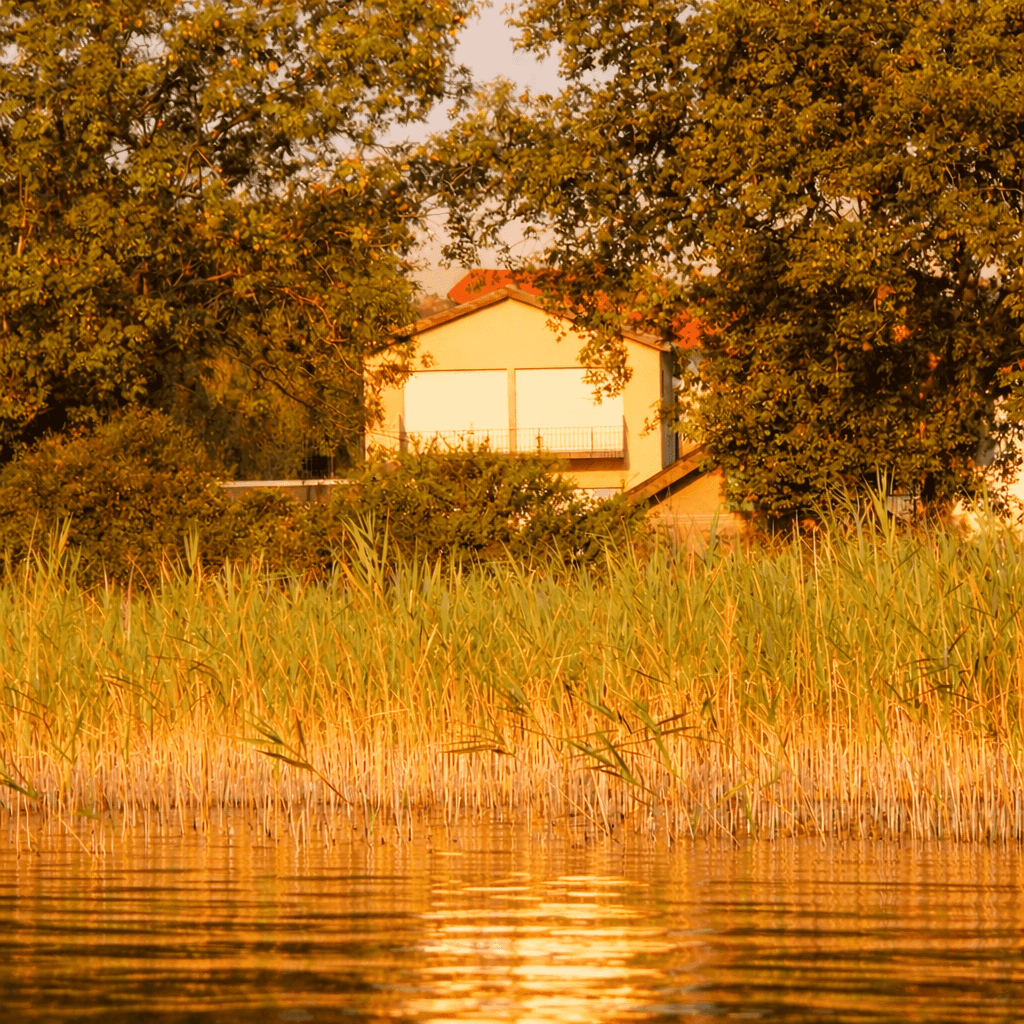 Hausfassade hinter Schilf am Seeufer, beleuchtet von der goldenen Abendsonne.